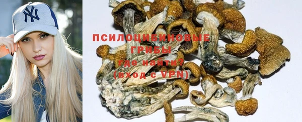 гидра Абинск